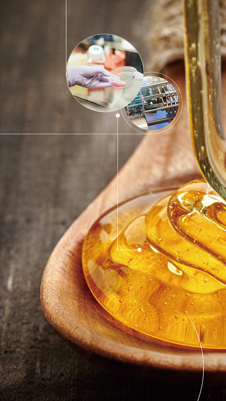 博郡净颜板粘合剂